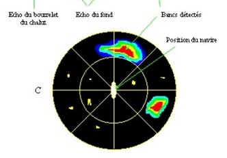 Radar - Sonar - Echographie - Page 2 Imagso6