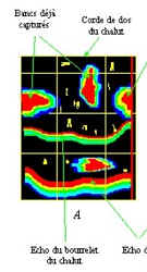 Radar - Sonar - Echographie - Page 2 Imagso7